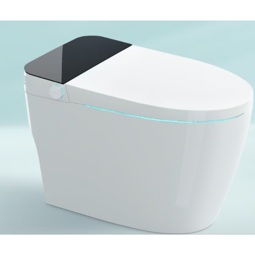 Toilette intelligente